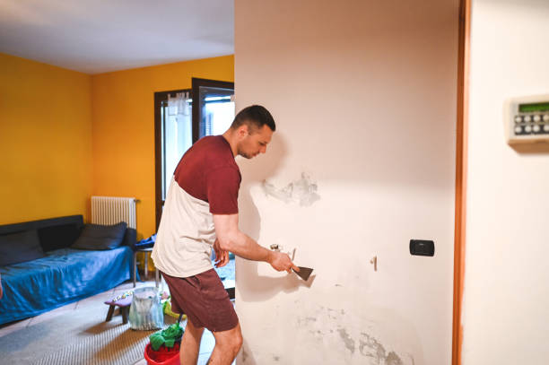 Best Residential Mold Remediation in Meadowbrook, CA